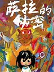 萨拉的秘密海报