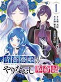蓝蔷薇公主的重生革命记海报