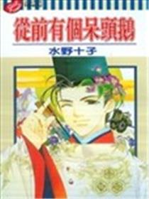 从前有个呆头鹅海报