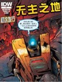 无主之地：火石镇的陨落海报