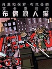 布偶浪人猫海报