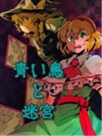 青鸟与迷宫海报