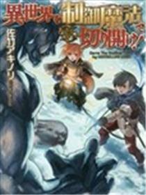用制御魔法开荒异世界海报