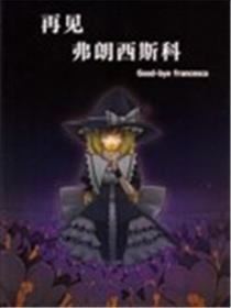 再见 弗朗西斯科海报