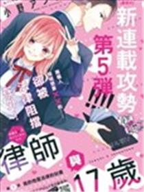 律师与17岁海报