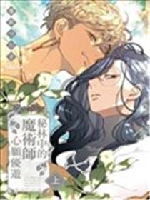 秘林中的魔术师心愿优游海报