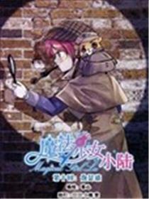 魔法少女小陆海报