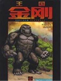 王国：金刚海报