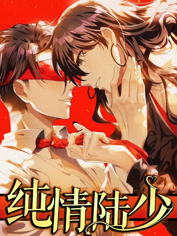 纯情陆少海报