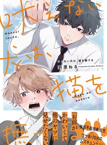 无声的狗抚摸猫海报