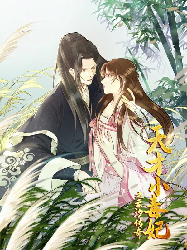 天才小毒妃之芸汐传奇海报