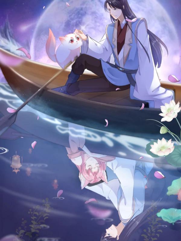 狐妃,别惹我海报