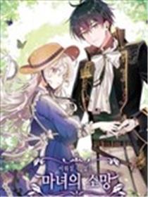 无法实现的魔女之愿海报