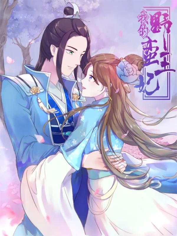 我的野蛮王妃海报