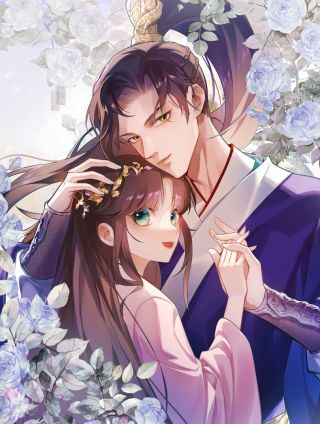 国医狂妃海报
