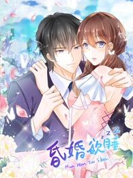 昏婚欲睡海报
