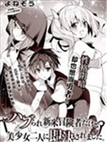 受排挤的新手冒险家被两位美少女钦定海报