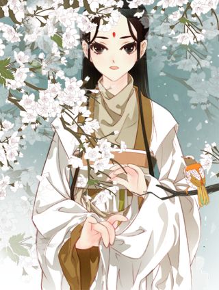 枝间片语海报