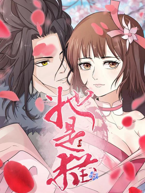 她是猫海报
