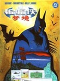 蝙蝠侠：梦境海报