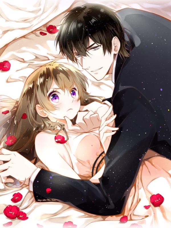 重生之星光璀灿海报