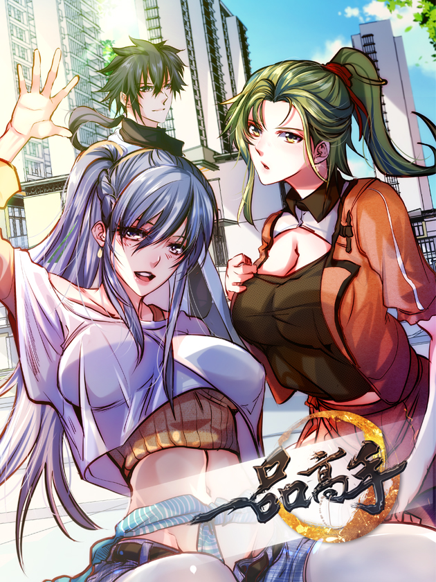 一品高手海报