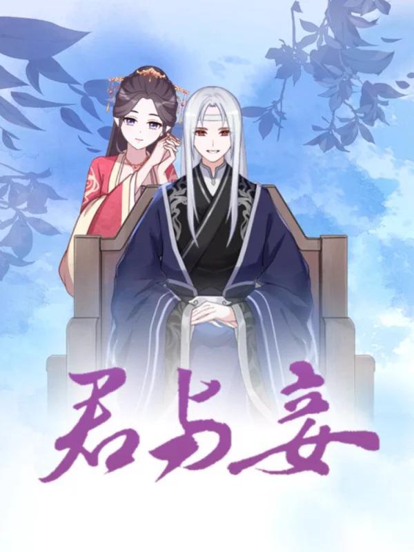 君与妾海报