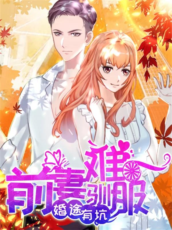 婚途有坑：前妻难驯服海报