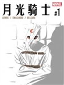 月光骑士v8海报