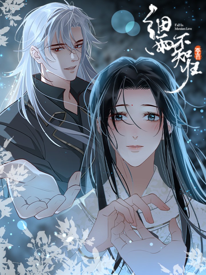 细雨不知归海报