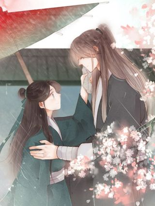 人面桃花两相宜海报