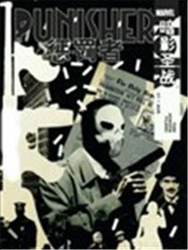 惩罚者:暗影圣战海报