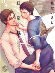 日阴蝶海报
