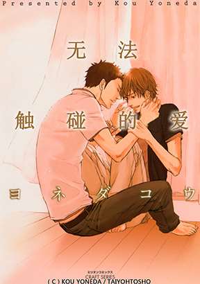 无法触碰的爱海报