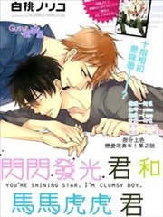 闪闪发光君与马马虎虎君海报
