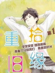 重拾旧缘海报