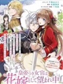 皇帝随行女官的新娘修行海报