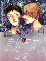 欢迎回来日冕海报