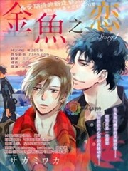 金鱼之恋海报