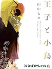 王子与小鸟海报