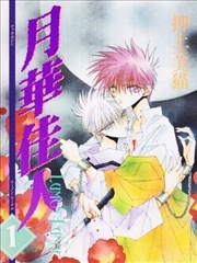 月华佳人海报