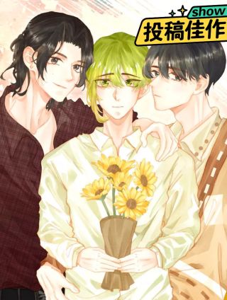 1/2 soul lover海报