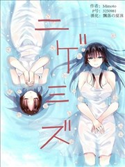 镜花水月.海报
