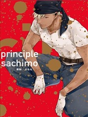 principle原则海报