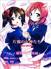 片翼的女神们海报