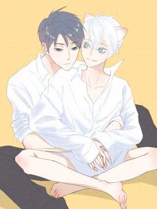哪来的猫海报