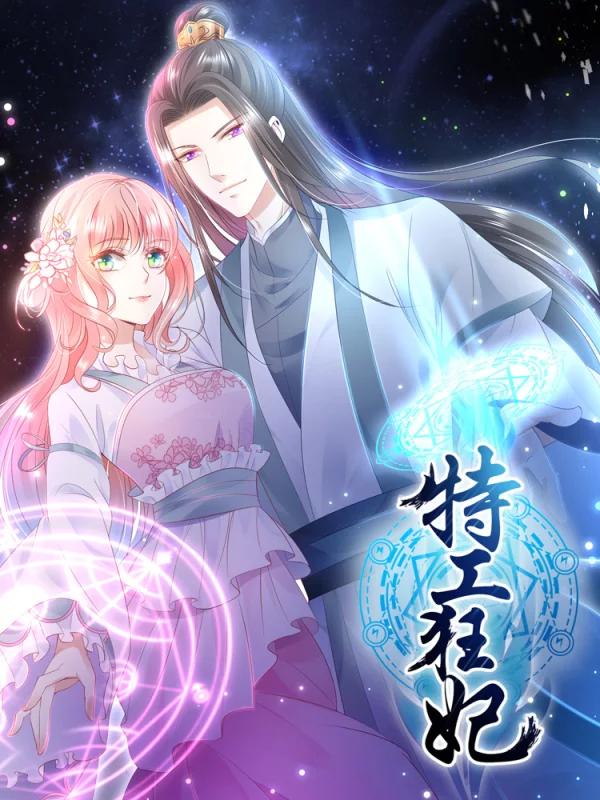 特工狂妃海报