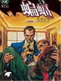 蝙蝠之影 无名小卒海报