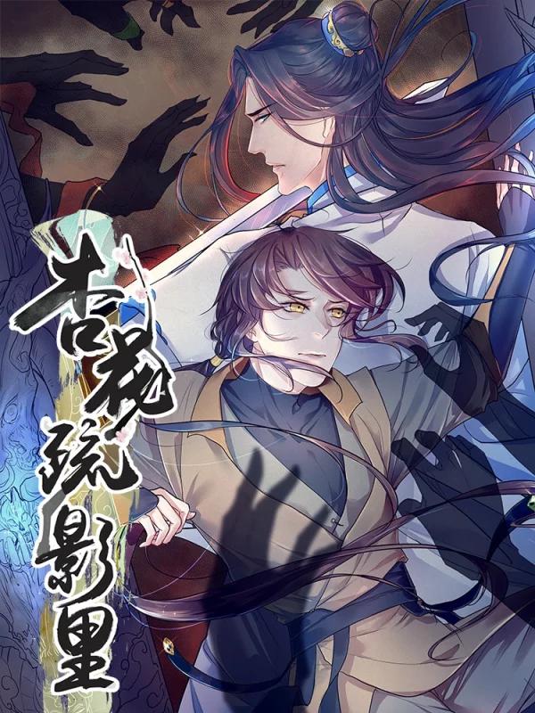 杏花疏影里海报