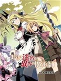 境界迷宫与异界魔术师海报